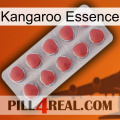 Kangaroo Essence 18